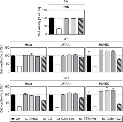 The Pore-Forming Subunit C2IIa of the Binary Clostridium botulinum C2 Toxin Reduces the Chemotactic Translocation of Human Polymorphonuclear Leukocytes